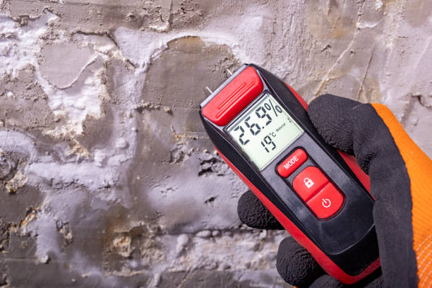 Best Best Mold Removal Companies  in Spotsylnia Courthouse, VA