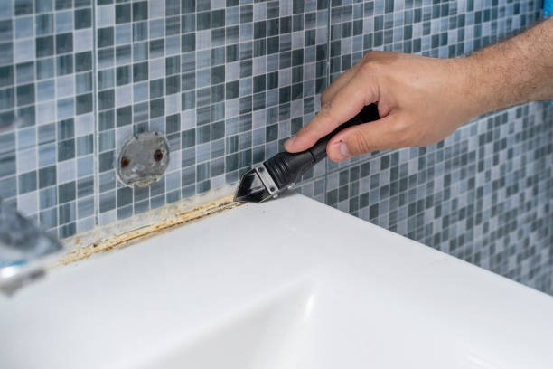 Best Professional Mold Removal  in Spotsylnia Courthouse, VA