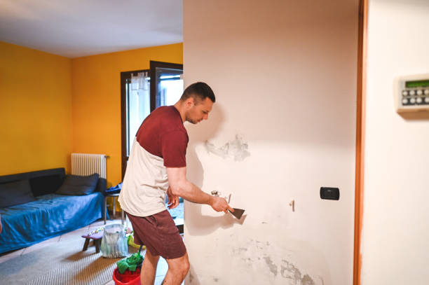 Best Black Mold Removal  in Spotsylnia Courthouse, VA
