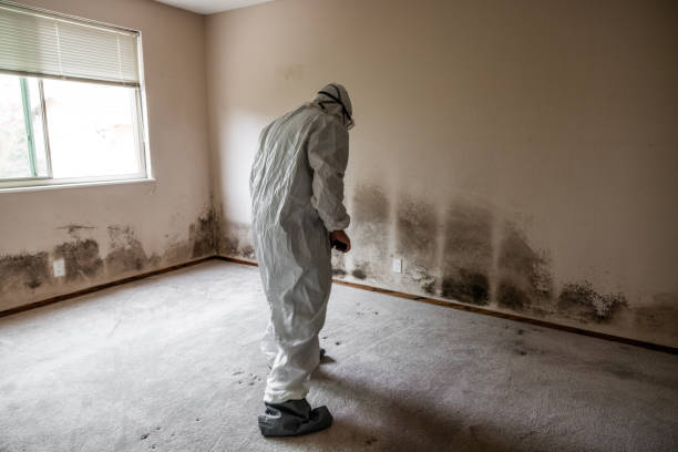 Best Residential Mold Removal  in Spotsylnia Courthouse, VA