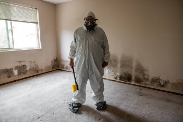 Best Certified Mold Removal  in Spotsylnia Courthouse, VA